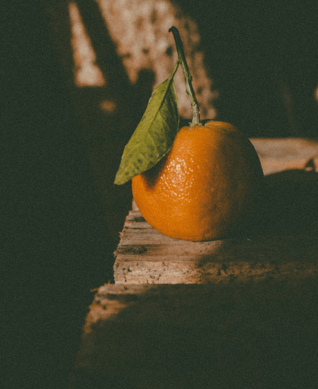 Citrus + Bright