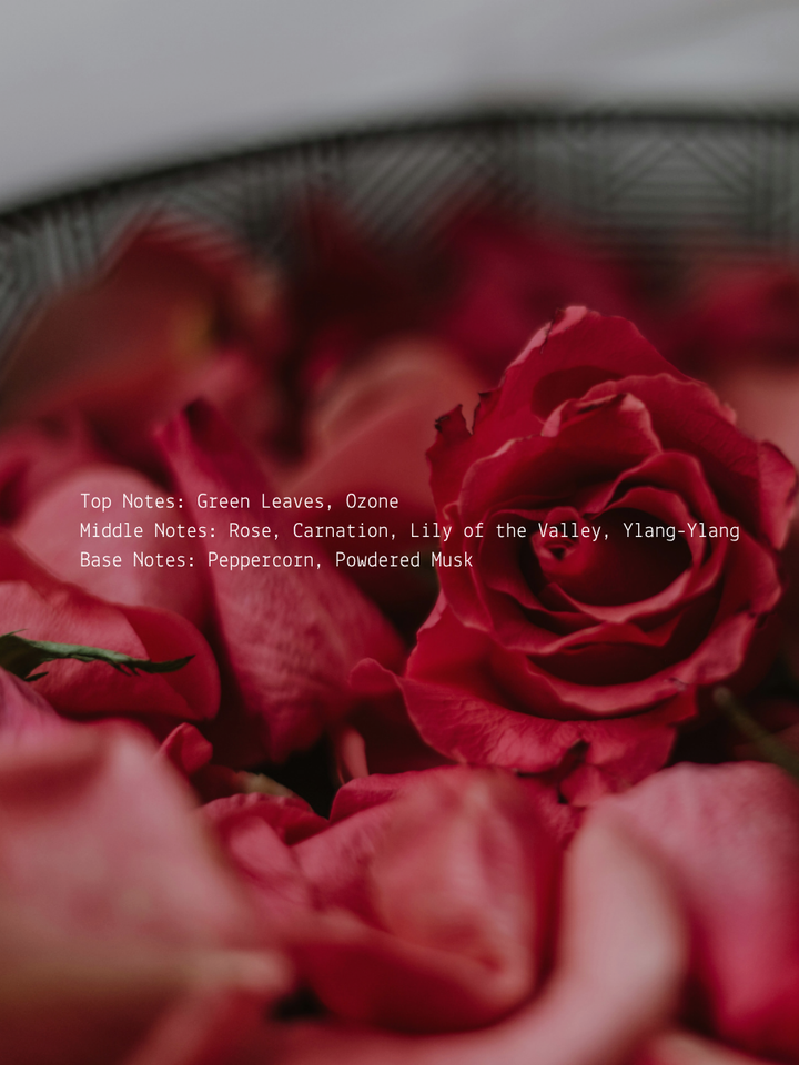 Rose + Ylang Ylang