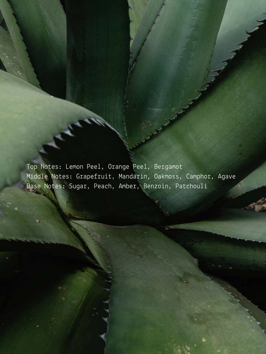 Gratitude Aroma Candle