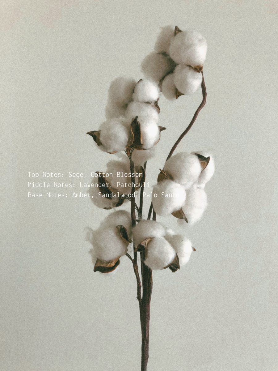 Cotton Blossom + Lavender