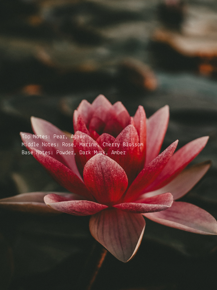 Agave Pear + Cherry Blossom