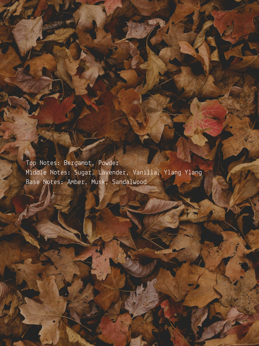 Autumn Equinox Aroma Candle