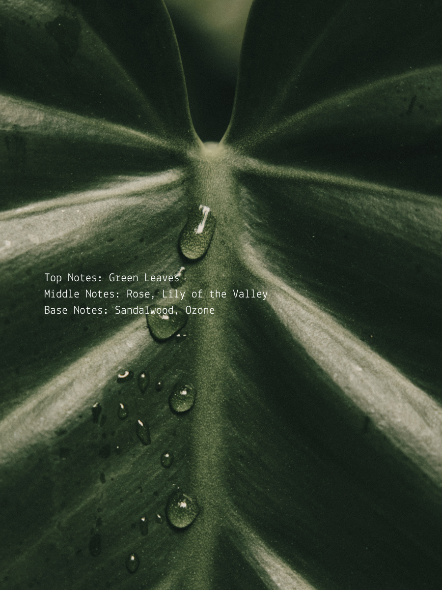 Greenleaf Rose + Ozone