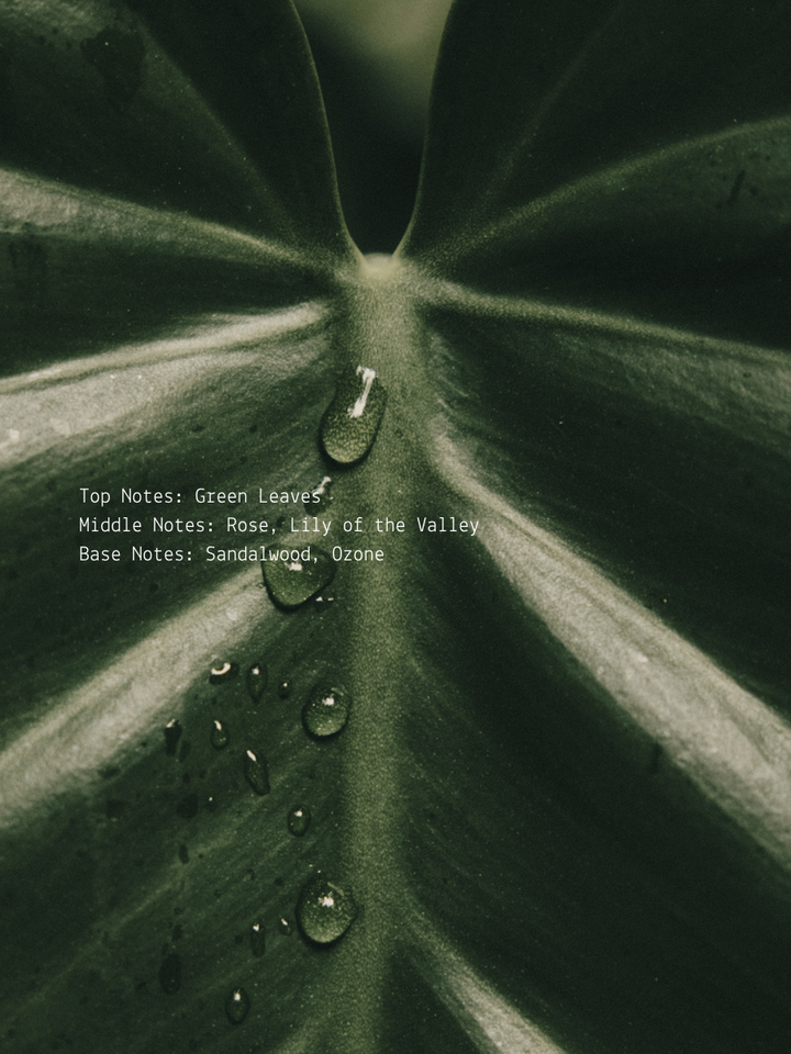 Greenleaf Rose + Ozone