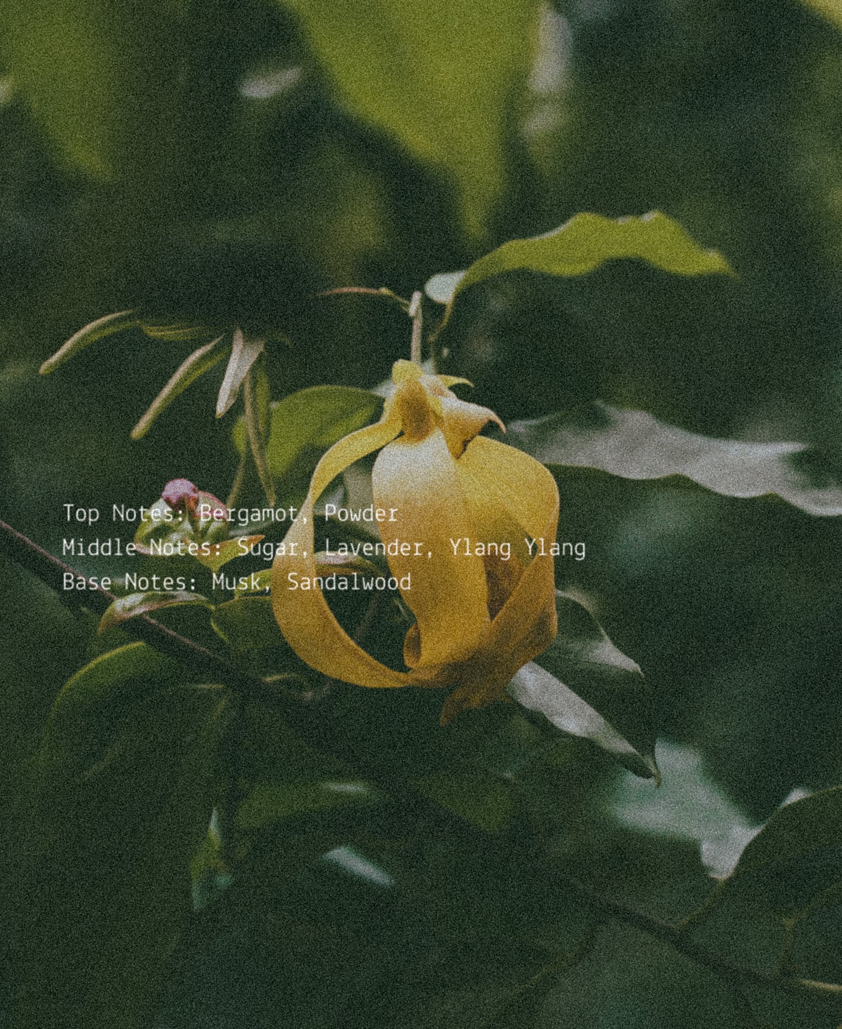 Autumn Equinox