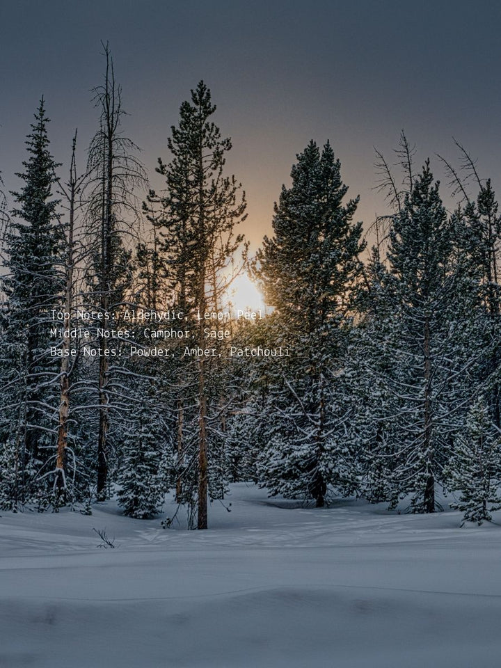 Aldehydic +Camphor Sage
