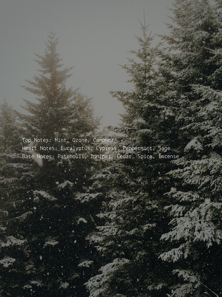 Eucalyptus Juniper + Camphor