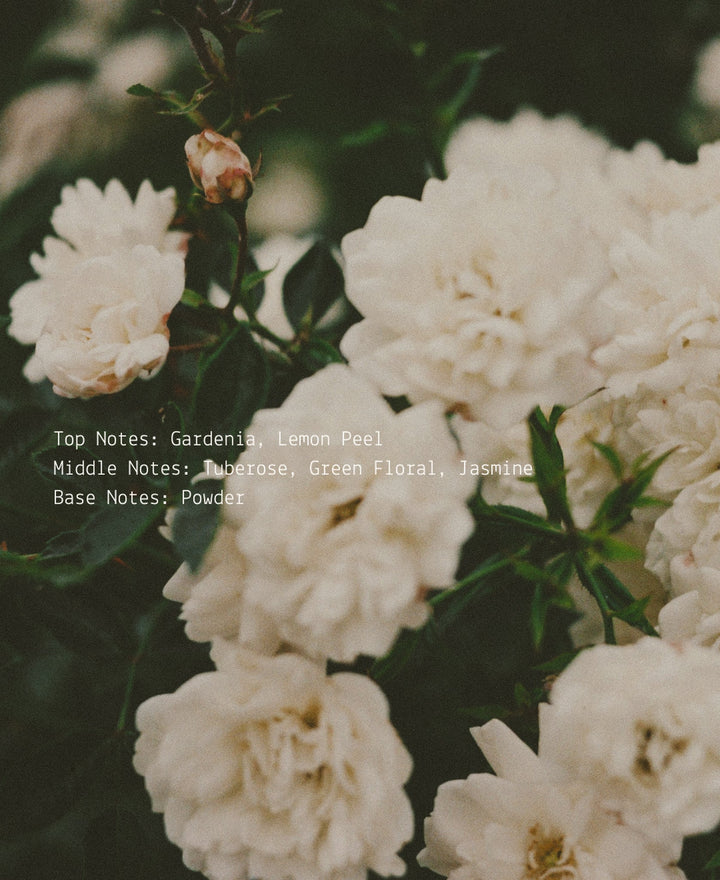 Gardenia + Tuberose – Room & Linen Mist