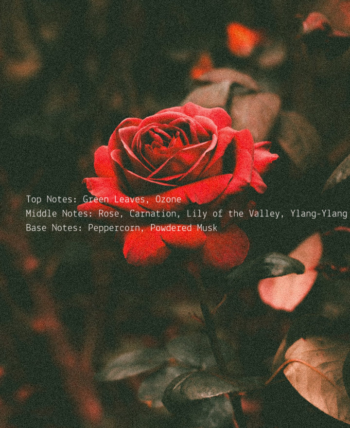 Rose + Ylang Ylang – Room & Linen Mist